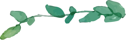 デコレーション