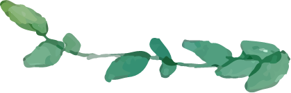 デコレーション