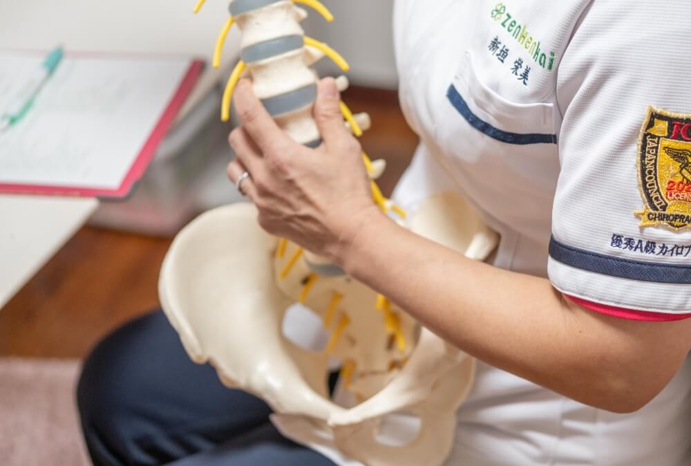 なぜ骨格（背骨・骨盤）を整えるのか?